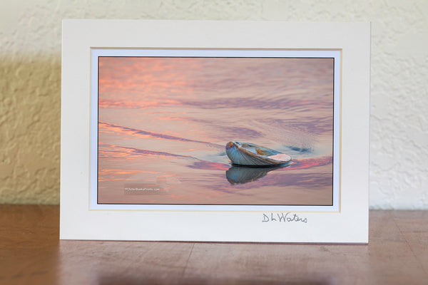 Colorful reflection of sunrise and clam shell on the beach at Kitty Hawk Outer Banks North Carolina.