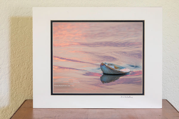 Colorful reflection of sunrise and clam shell on the beach at Kitty Hawk Outer Banks North Carolina.