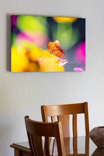 I used a shallow depth of field to create this dreamy effect of a Passion Butterfly and Zinnia flowers on the Outer Banks in Duck, North Carolina.