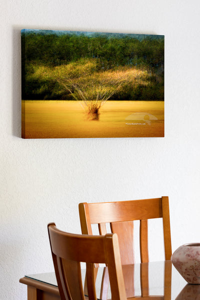 Dreamy Outer Banks Impressions