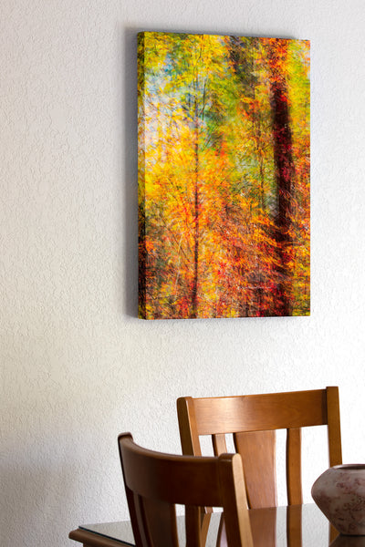 Fall foliage composed of 15 layered images from slightly different angles to show the feeling of fall. This was photographed at Nags Head Woods in Kill Devil Hills on the Outer Banks of North Carolina.