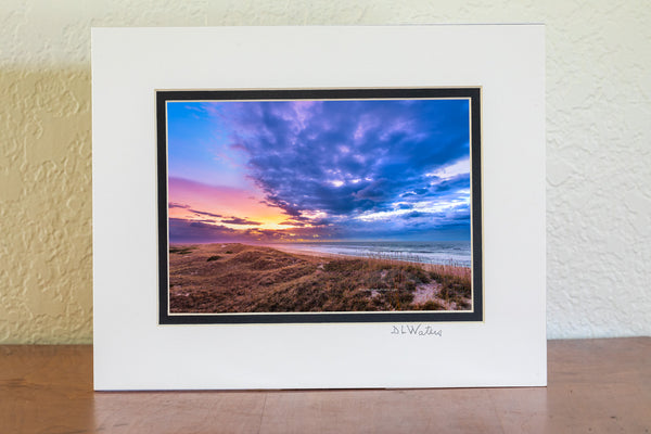 Looking out over the great expanse of dunes in the Cape Hatteras National Seashore. Photographed from the top of a dune in Frisco on the Outer Banks of NC.
