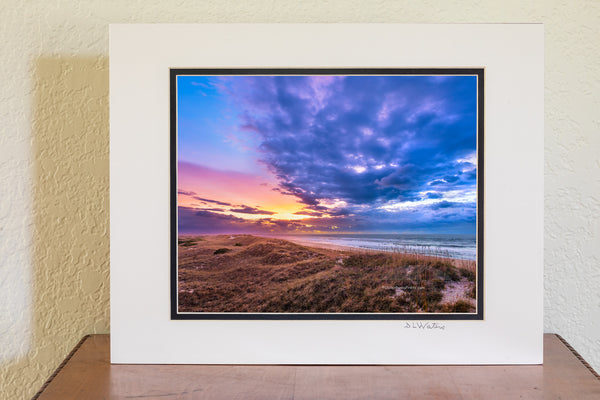 Looking out over the great expanse of dunes in the Cape Hatteras National Seashore. Photographed from the top of a dune in Frisco on the Outer Banks of NC.