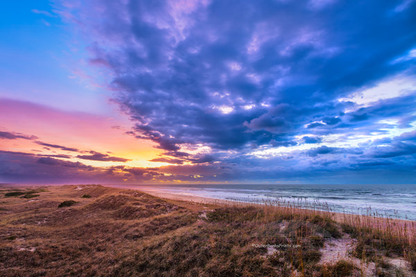 Looking out over the great expanse of dunes in the Cape Hatteras National Seashore. Photographed from the top of a dune in Frisco on the Outer Banks of NC.