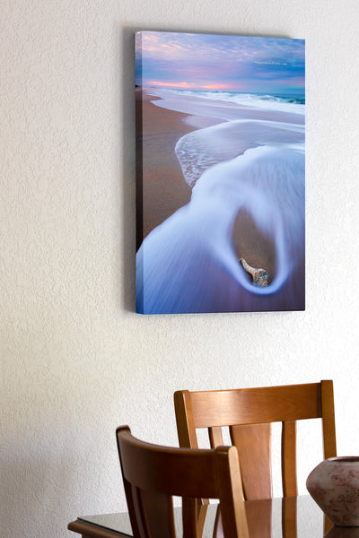 Gift From the Sea Outer Banks Shells