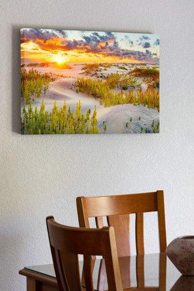 Beautiful morning dunes at Oregon Inlet on the Outer Banks of North Carolina.