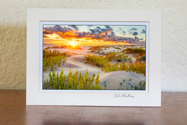 Beautiful morning dunes at Oregon Inlet on the Outer Banks of North Carolina.