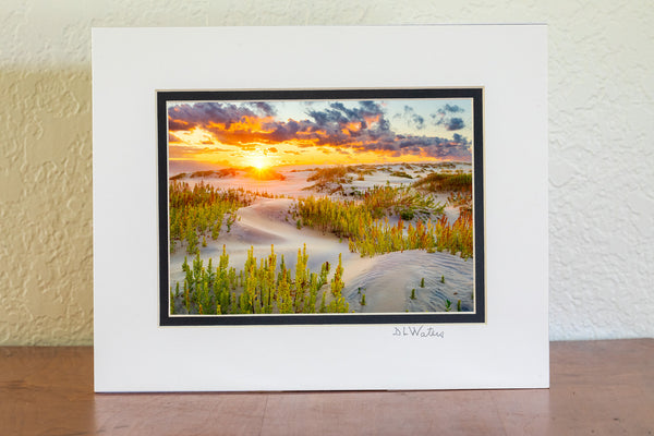 Beautiful morning dunes at Oregon Inlet on the Outer Banks of North Carolina.