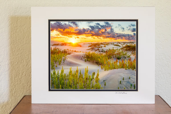 Beautiful morning dunes at Oregon Inlet on the Outer Banks of North Carolina.