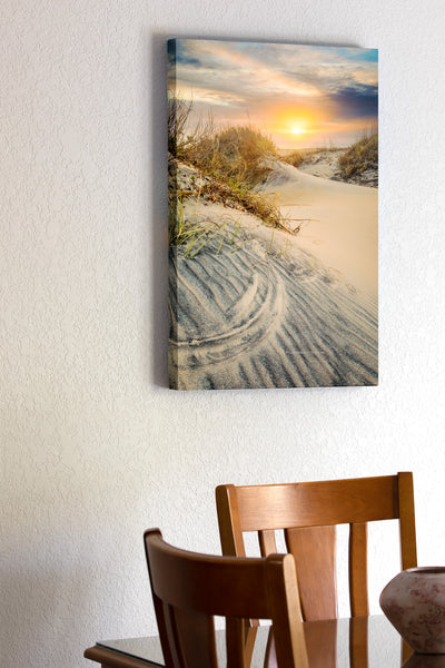 The beach at Oregon Inlet Campground on a misty winters morning in Cape Hatteras National Seashore Outer Banks of North Carolina. The pattern in the foreground sandune was made when the winds shifts directions and causes the Seaoats to etch curved shapes in the sand.