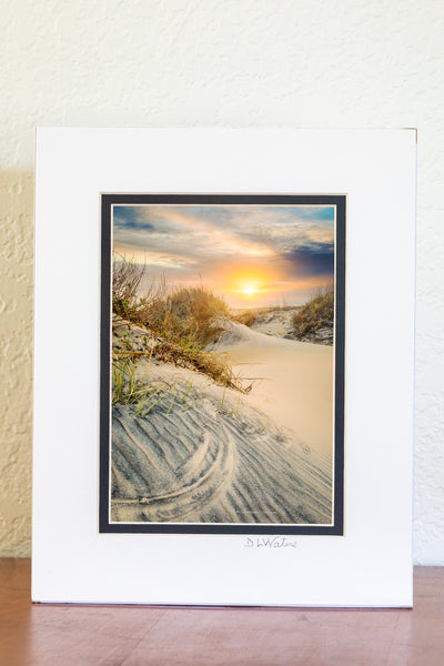 The beach at Oregon Inlet Campground on a misty winters morning in Cape Hatteras National Seashore Outer Banks of North Carolina. The pattern in the foreground sandune was made when the winds shifts directions and causes the Seaoats to etch curved shapes in the sand.