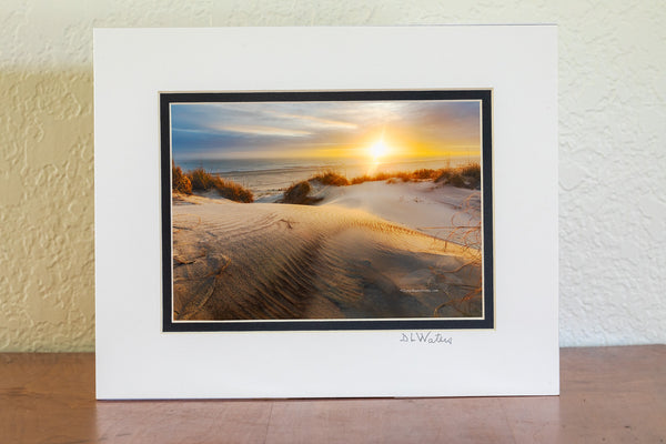 Sunrise through the mist on a winters morning at Oregon Inlet Campground Cape Hatteras National Seashore, Outer Banks of North Carolina.