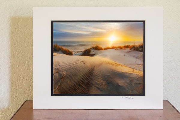 Sunrise through the mist on a winters morning at Oregon Inlet Campground Cape Hatteras National Seashore, Outer Banks of North Carolina.