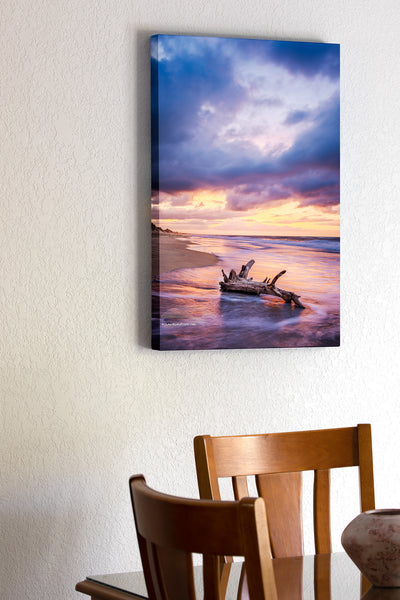 Sunrise drama on a Frisco beach — stormy skies building above the horizon as seafoam squirrels around the base of driftwood, caught in the quiet of the morning tide.