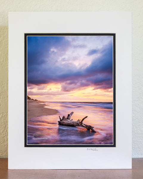 Sunrise drama on a Frisco beach — stormy skies building above the horizon as seafoam squirrels around the base of driftwood, caught in the quiet of the morning tide.