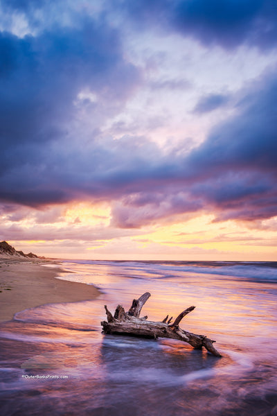 Sunrise drama on a Frisco beach — stormy skies building above the horizon as seafoam squirrels around the base of driftwood, caught in the quiet of the morning tide.