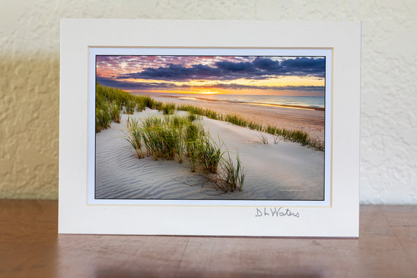 A early summer morning on the dunes in Frisco at Cape Hatteras National Seashore on the Outer Banks of North Carolina.