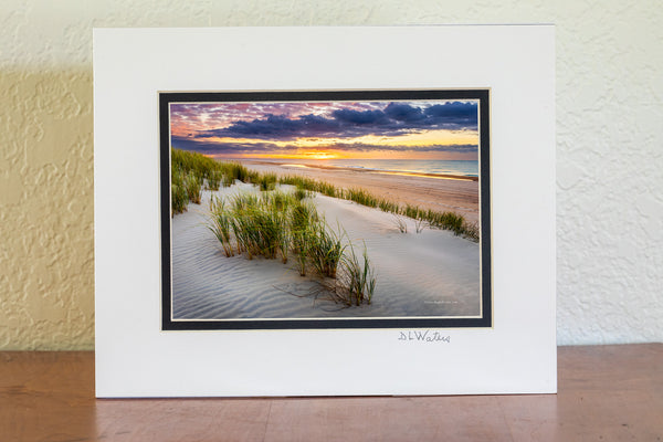 A early summer morning on the dunes in Frisco at Cape Hatteras National Seashore on the Outer Banks of North Carolina.