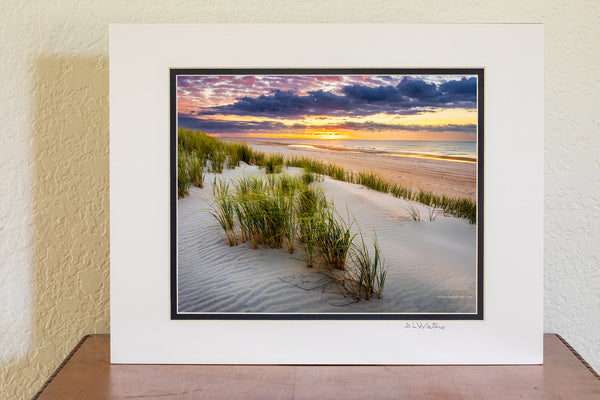 A early summer morning on the dunes in Frisco at Cape Hatteras National Seashore on the Outer Banks of North Carolina.