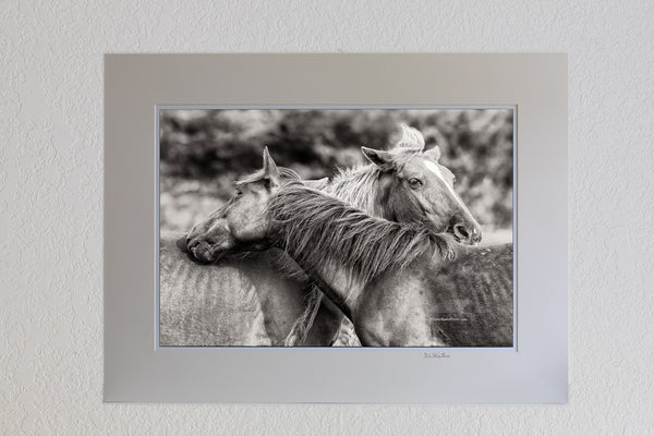 13 x 19 luster print in 18 x 24 ivory mat of.