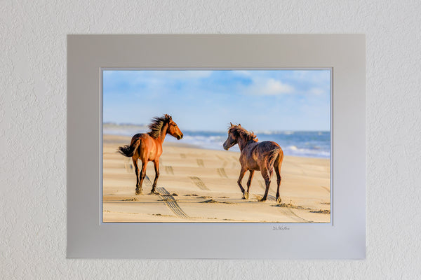Beach Fun Outer Banks Wild Horse