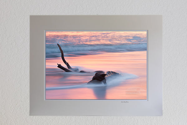 13 x 19 luster print in 18 x 24 ivory mat of A long exposure of driftwood washed by the waves at sunrise on Kitty Hawk beach.