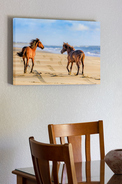 Beach Fun Outer Banks Wild Horse