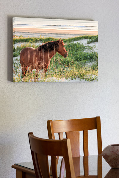 20"x30" x1.5" stretched canvas print hanging in the dining room of Wild horse in the dunes over looking the ocean and beach in Carova Beach on the Outer Banks of NC.