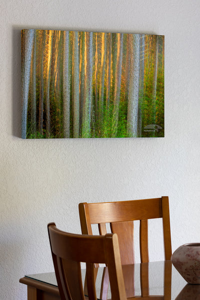 20"x30" x1.5" stretched canvas print hanging in the dining room of