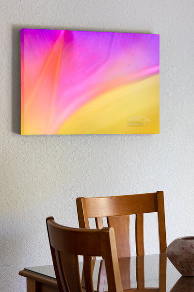 20"x30" x1.5" stretched canvas print hanging in the dining room of Soft focused, close-up of a morning glory flower at Aligator Wildlife Refuge in North Carolanina.