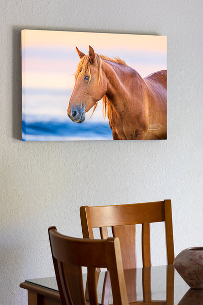 20"x30" x1.5" stretched canvas print hanging in the dining room of Wild horse on the beach in front of surf at sunrise in Corolla, NC on the Outer Banks.