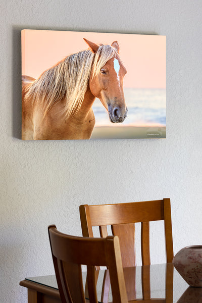20"x30" x1.5" stretched canvas print hanging in the dining room of Wild horse on NC Outer Banks beach at sunrise.