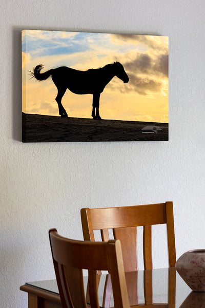 20"x30" x1.5" stretched canvas print hanging in the dining room of Silhouette of a wild horse swishing its tail in Carova Beach on the Outer Banks of NC.