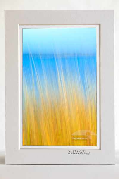4 x 6 luster print in a 5 x 7 ivory mat of Pamlico Sound grass photographed with a long exposure while the camera was moved.
