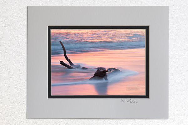 5 x 7 luster prints in a 8 x 10 ivory and black double mat of A long exposure of driftwood washed by the waves at sunrise on Kitty Hawk beach.