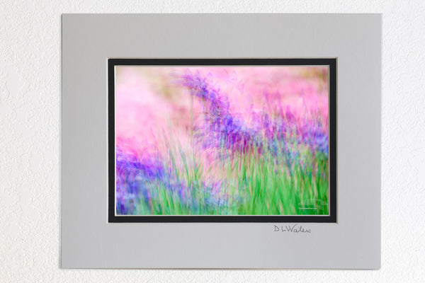 5 x 7 luster prints in a 8 x 10 ivory and black double mat of Multiple exposures of purple irises and pink azaleas leaves the viewer with an impression of a flower garden.
