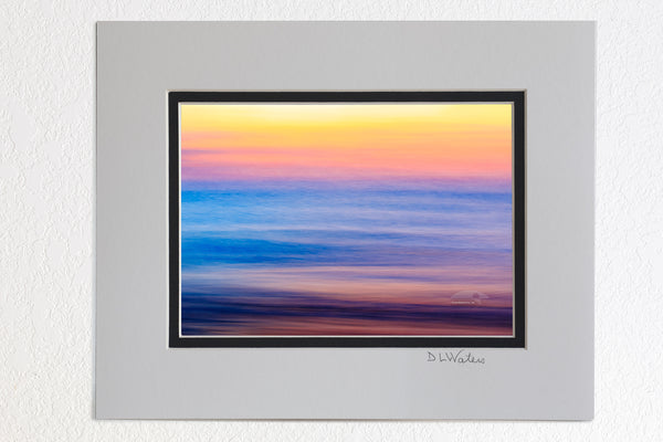 5 x 7 luster prints in a 8 x 10 ivory and black double mat of