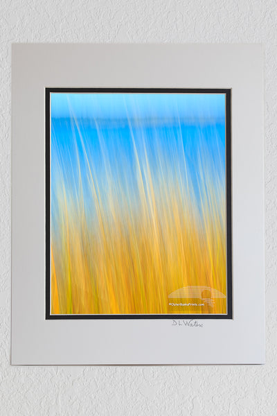 8 x 10 luster print in a 11 x 14 ivory and black double mat of Pamlico Sound grass photographed with a long exposure while the camera was moved.