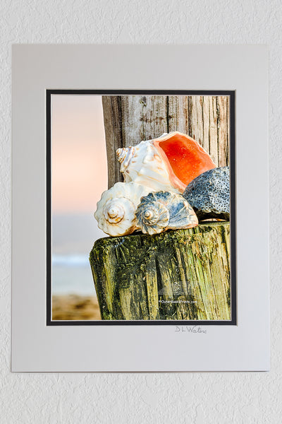 8 x 10 luster print in a 11 x 14 ivory and black double mat of Shells stacked up under Avalon fishing pier in Kill Devil Hills, NC on the Outer Banks at sunrise.