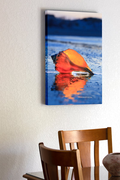 20"x30" x1.5" stretched canvas print hanging in the dining room of A Whelk shell photographed in twilight at Corva, NC. I placed a flashlight behind the shell to make it glow.