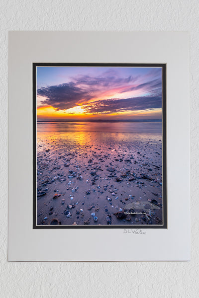 8 x 10 luster print in a 11 x 14 ivory and black double mat of Shell shards washed up on the high tide at Corolla, NC Outer Banks beach sunrise.