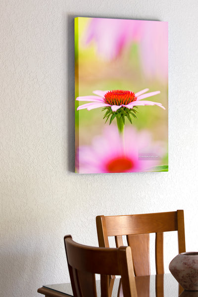Center of Attention Outer Banks Beach