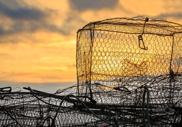 Crab traps piled on the dock at sunrise waiting to be set.