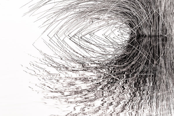 B & W photo of marsh grass reflection on the sound side of the outer Banks of NC.