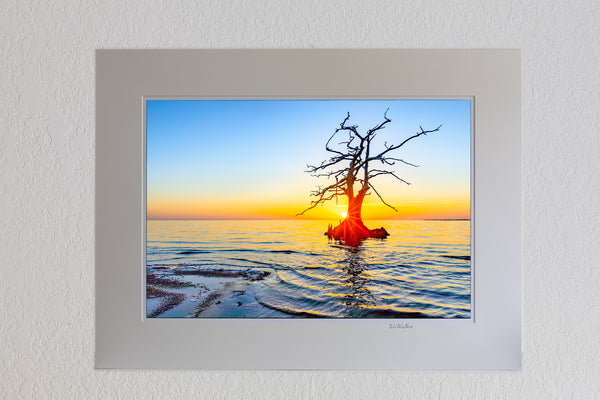 13 x 19 luster print in 18 x 24 ivory mat of