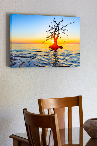20"x30" x1.5" stretched canvas print hanging in the dining room of