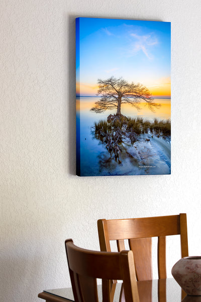 20"x30" x1.5" stretched canvas print hanging in the dining room of Cypress tree at sunset along Duck, NC boardwalk on the Ouer Banks.