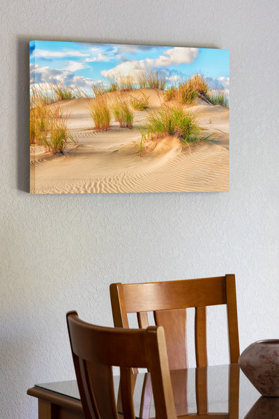 Sand dune at Jockeys Ridge State Park on the Outer Banks.
