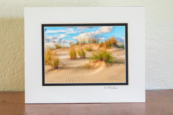 Sand dune at Jockeys Ridge State Park on the Outer Banks.