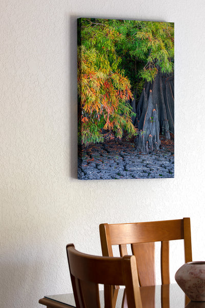 Fall at Lake Phelps vertical Outer Banks